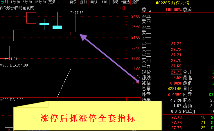 002066  涨停后抓涨停全套指标!
